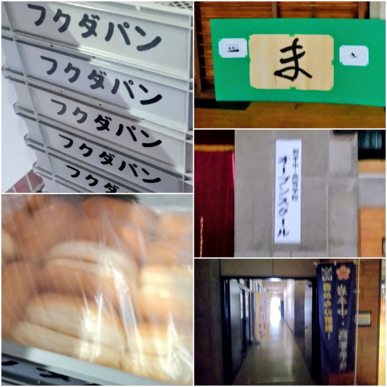 20260725_190253-COLLAGE~2