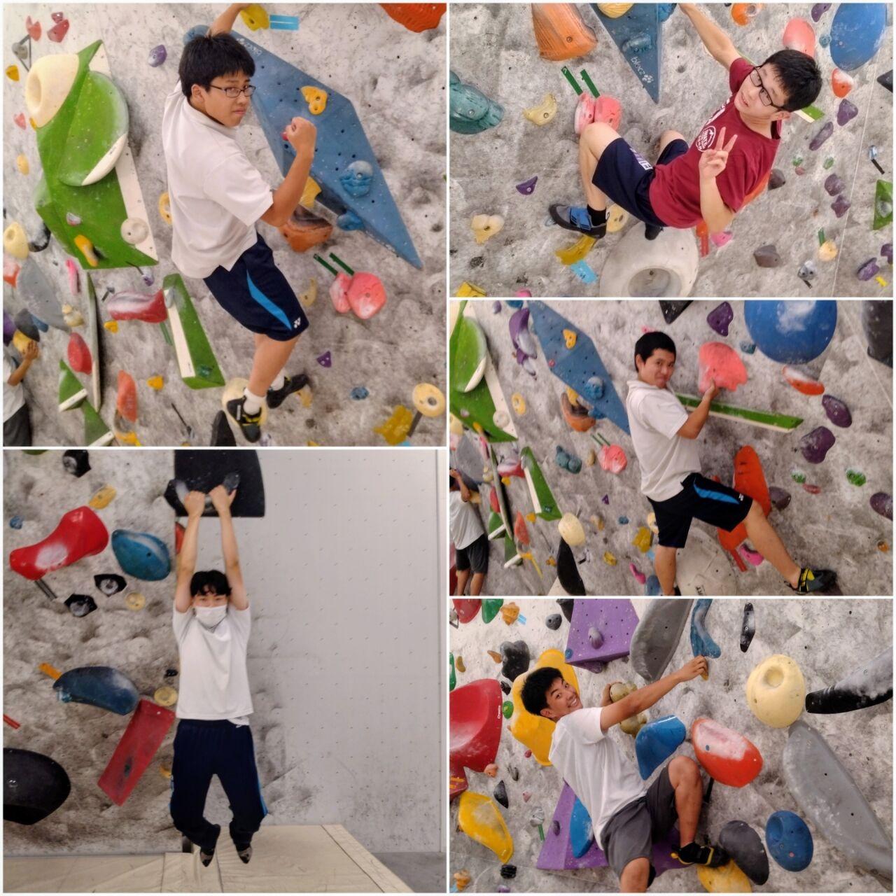 20260803_175435-COLLAGE~2