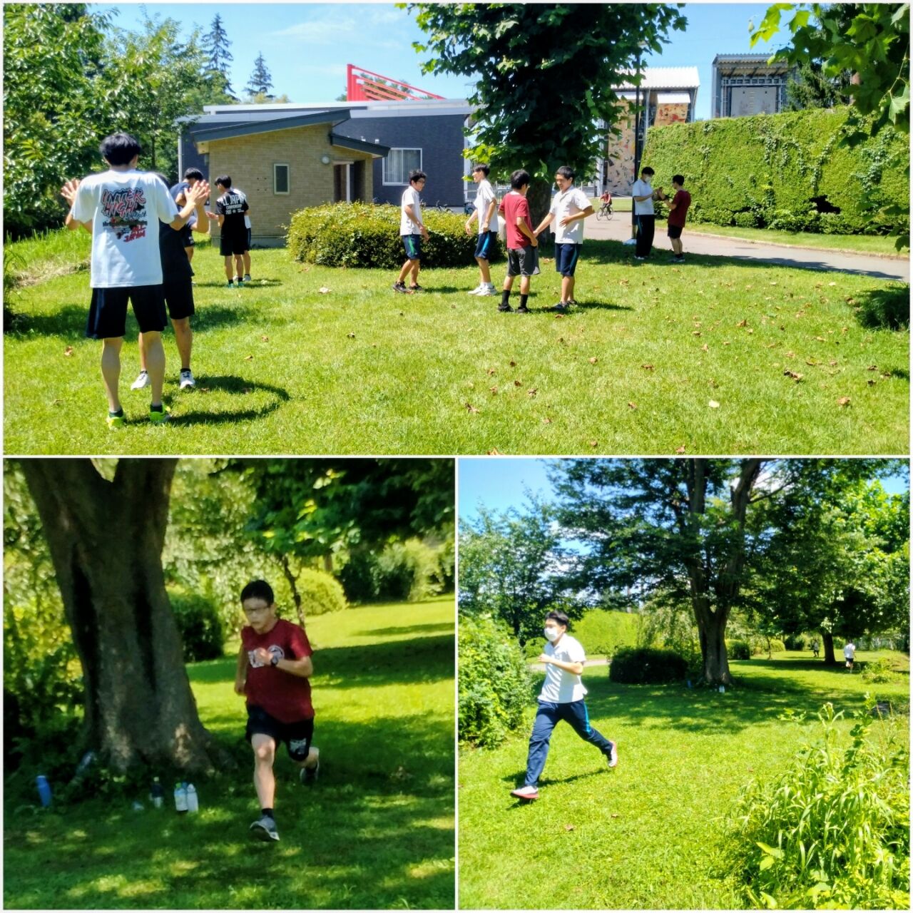 20260803_174705-COLLAGE~2