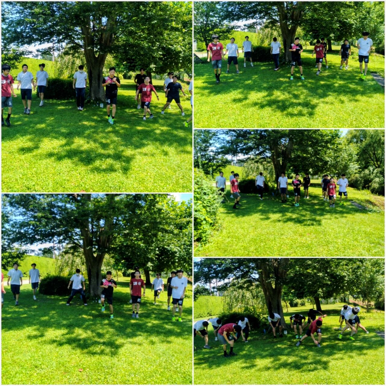 20260803_174821-COLLAGE~2