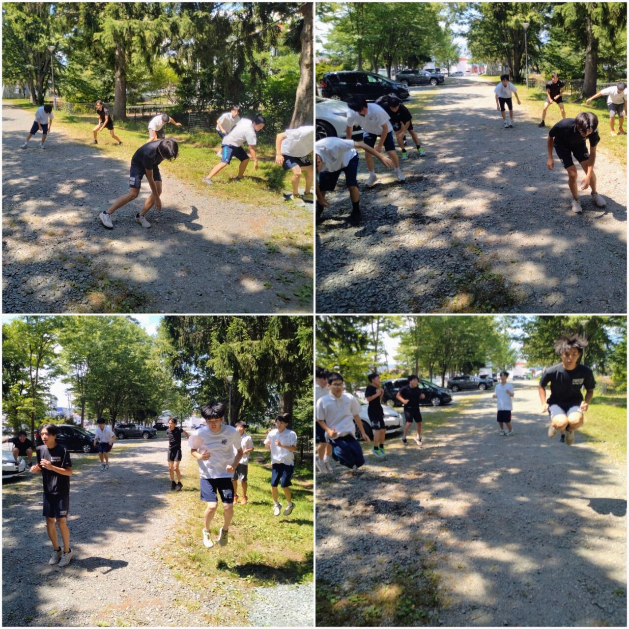 20260808_061925-COLLAGE~2