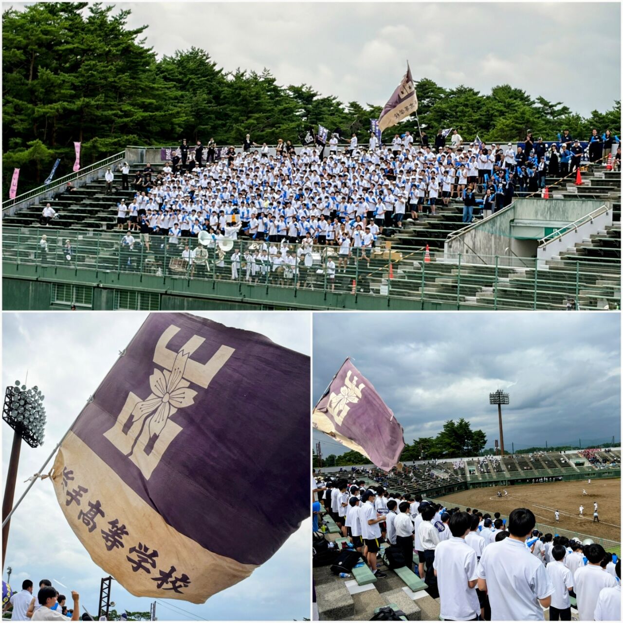 20260714_222846-COLLAGE~2