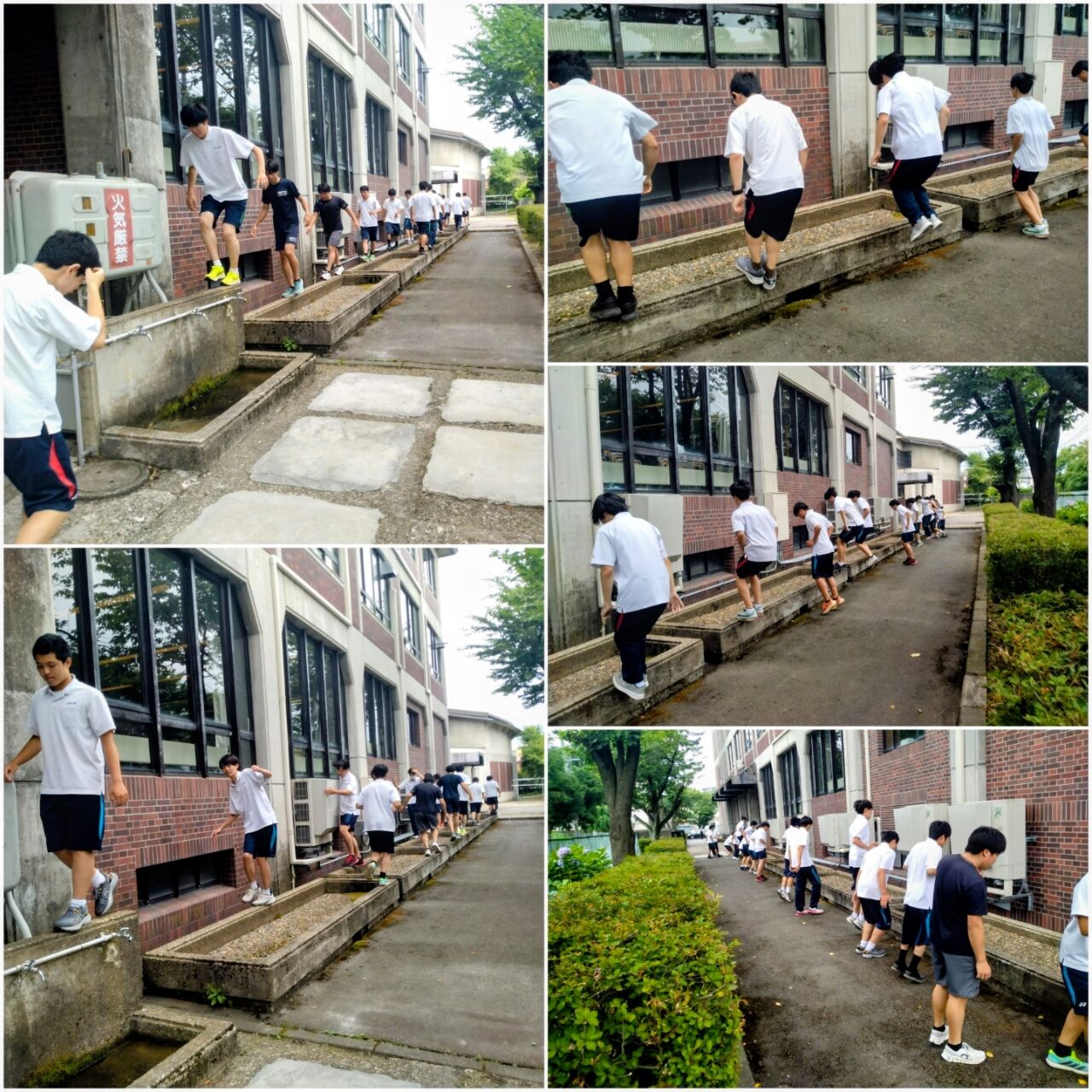 20260717_175243-COLLAGE~2