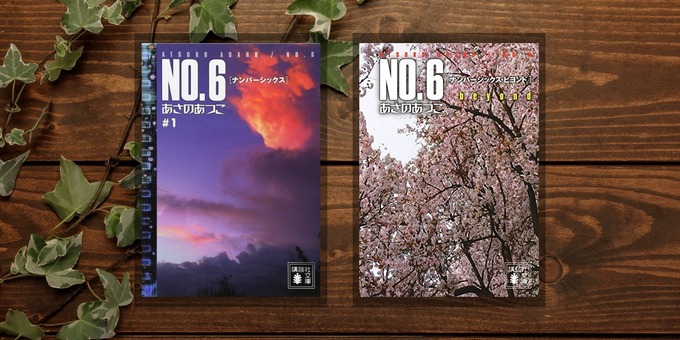 no6