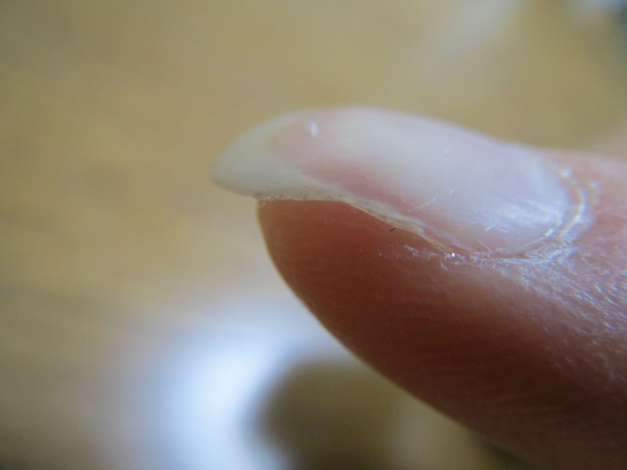 ネイルが長持ち 丈夫になる ネイリストお勧めサプリ ネイリストサプリ 1ヶ月間試してみました きよりの なんでも情報局