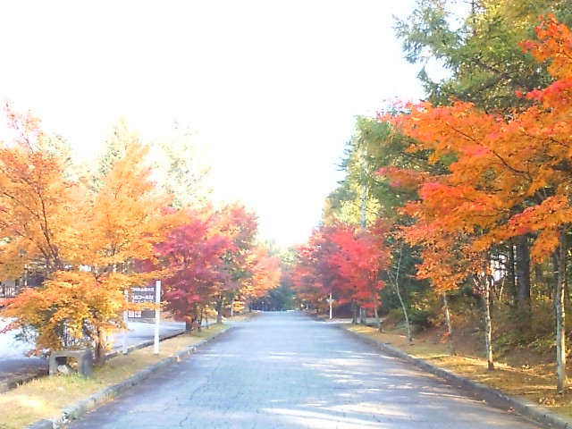 c848c3fa.jpg