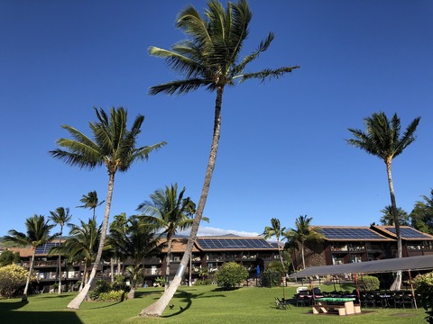 2020-02-21_11-27-35_715