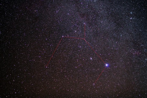 IMG_8721t2n_おおいぬb