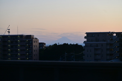 DSC_2619