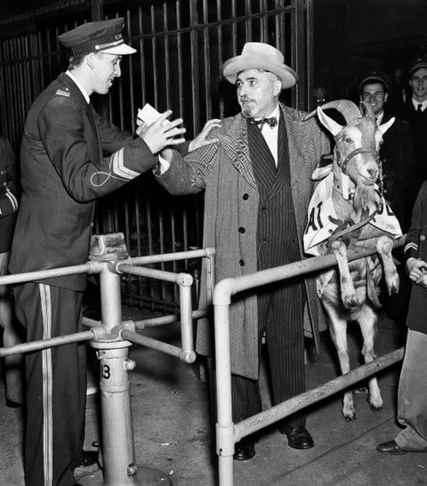 bf210506_1445433600506