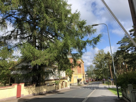 2019-08-24_11-18-03_011