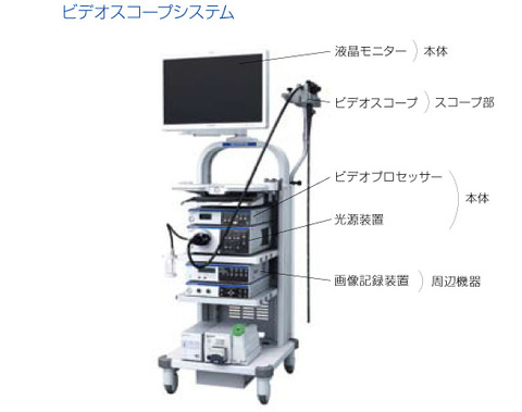 medical_gastroenterology_structure_01