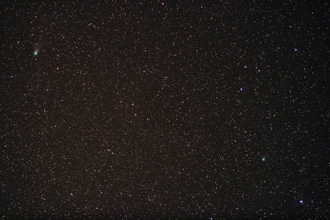 ラブジョイとリニア