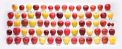 all-apple