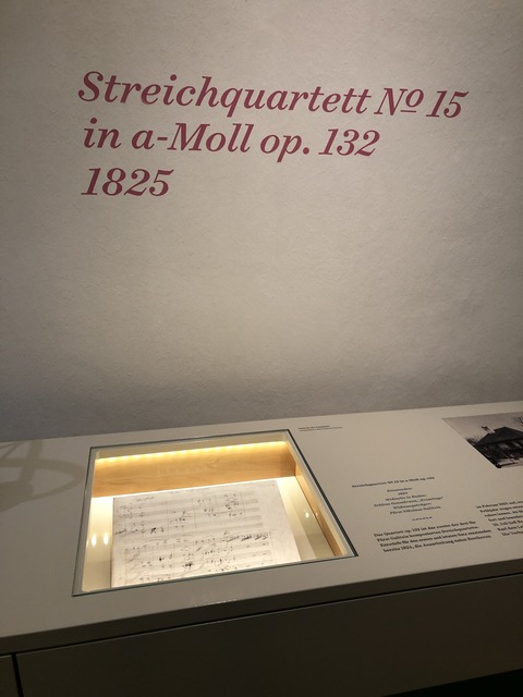 2019-11-28_18-24-21_377