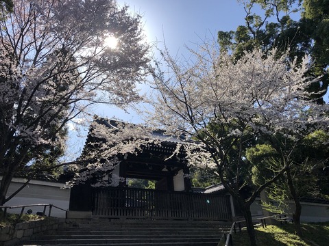 2020-03-25_09-22-58_075