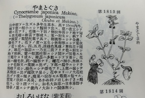 361653529_2368980023288822_1979893333993841867_n