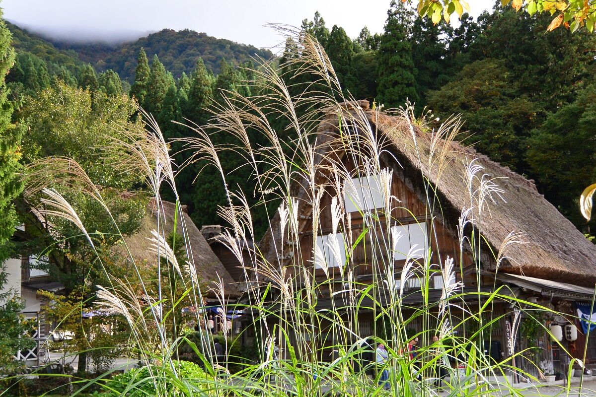 尾花が末の生ひ靡き さばかりのものやはある しない させない させられない