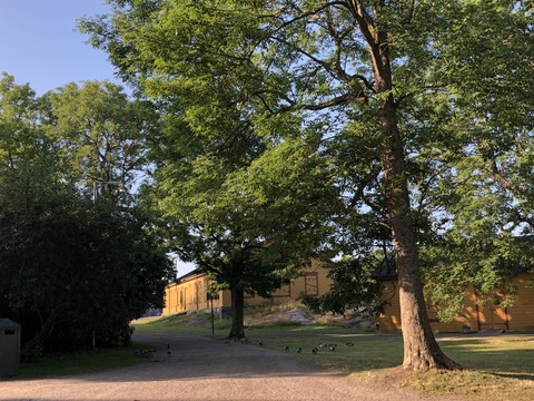 2019-08-22_08-39-59_077