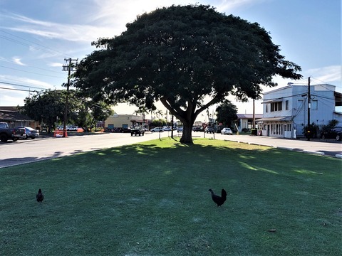 2020-02-21_11-53-47_659