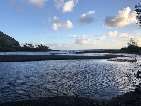 2020-02-22_02-24-25_239