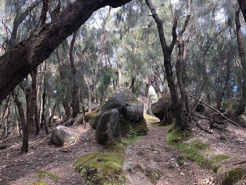 2020-02-22_05-18-37_261