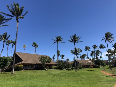 2020-02-22_08-52-04_519