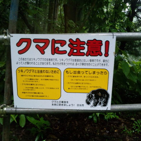 クマ注意