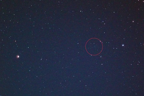 DSC_0576s2_ラブジョイ