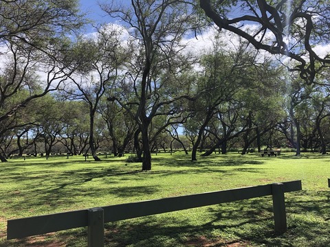 2020-02-22_08-16-09_193