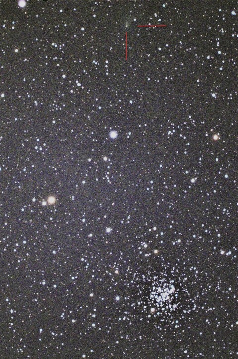 DSC_1000sM67 2017T1 (5)n