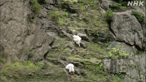 スクリーンショット 2026-02-27 154051