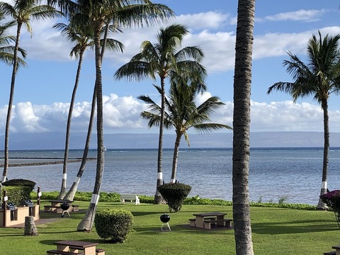 2020-02-23_11-34-56_398