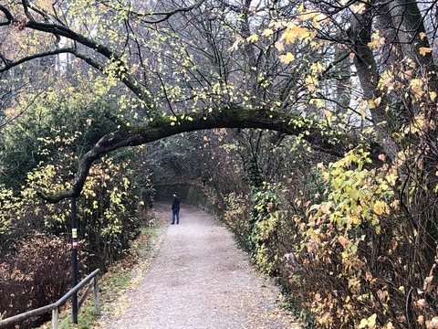 2019-11-28_17-30-59_000 (2019-12-02T05_13_06.506)