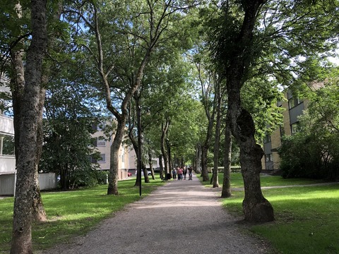 2019-08-25_15-21-14_599