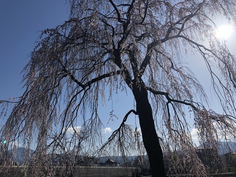 2020-03-25_08-41-12_716