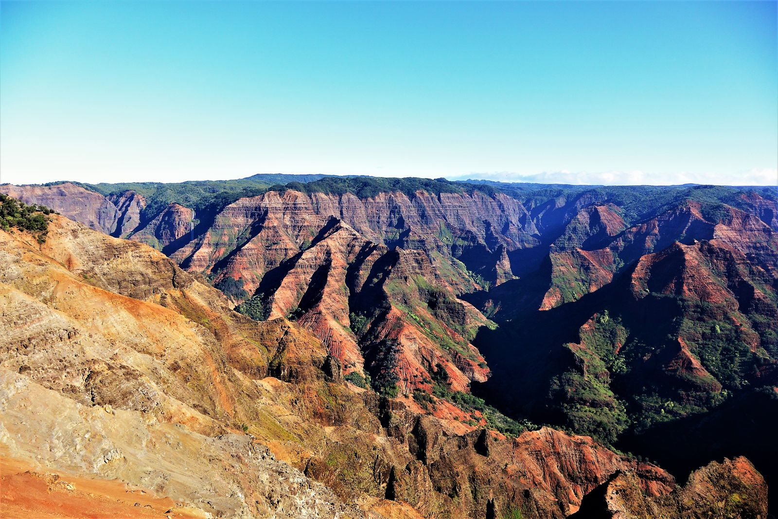 17秋アメリカ旅行記 絶景 ワイメア渓谷 しない させない させられない