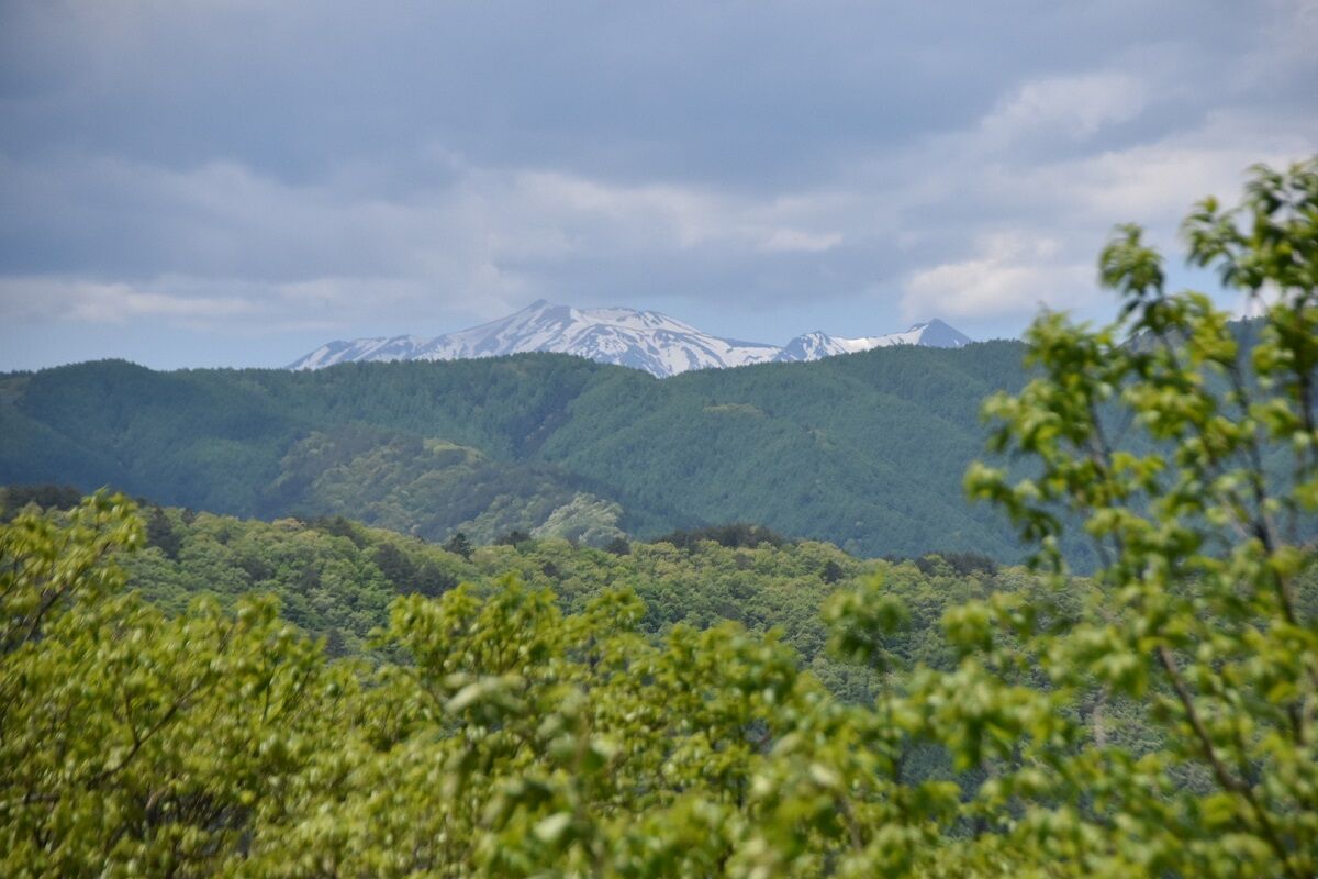 中山道を歩く 要衝かつ難所の鳥居峠を越す しない させない させられない