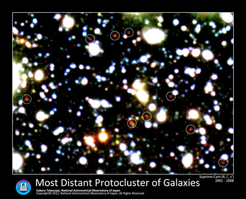 distant_protocluster