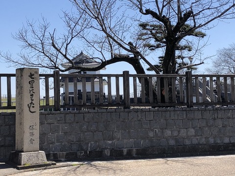 2020-03-23_11-29-30_438