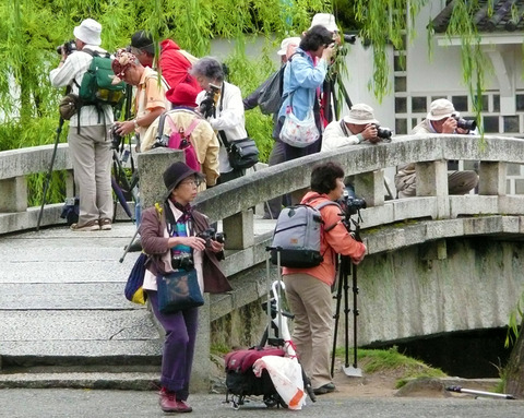 web_Amature Cameraman