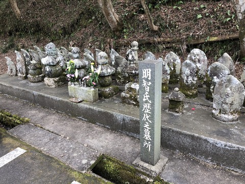 2020-01-22_12-45-12_240