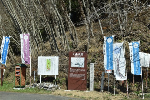 2020-03-12_10-24-39_100