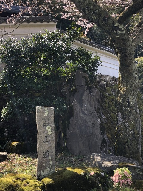 IMG_2192(1) (960x1280)