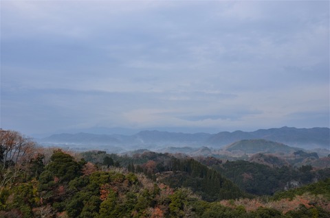 DSC_2210 (2)