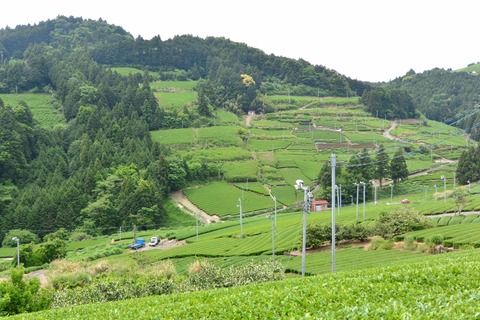 DSC_9571 (1024x683) (1024x683)