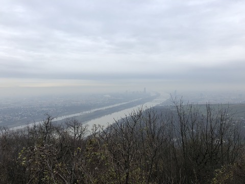 2019-11-28_21-15-11_799 (2019-12-02T05_08_31.471)