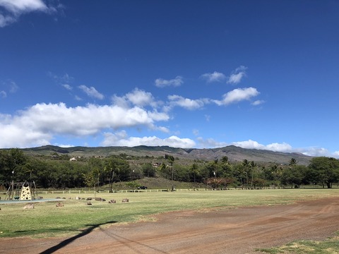 2020-02-22_10-14-11_869