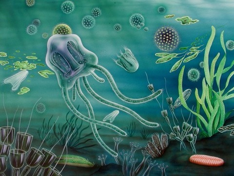 エディアカラ生物群