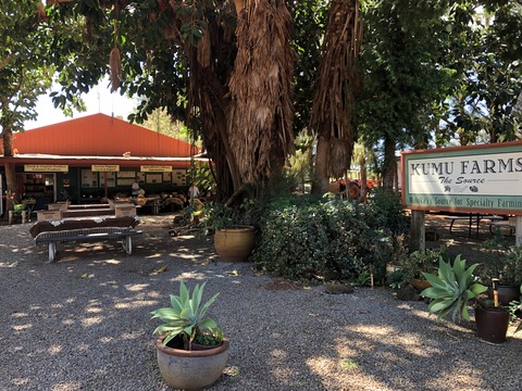 2020-02-22_07-29-08_850